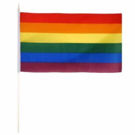 Pride flag (19 x 27cm)