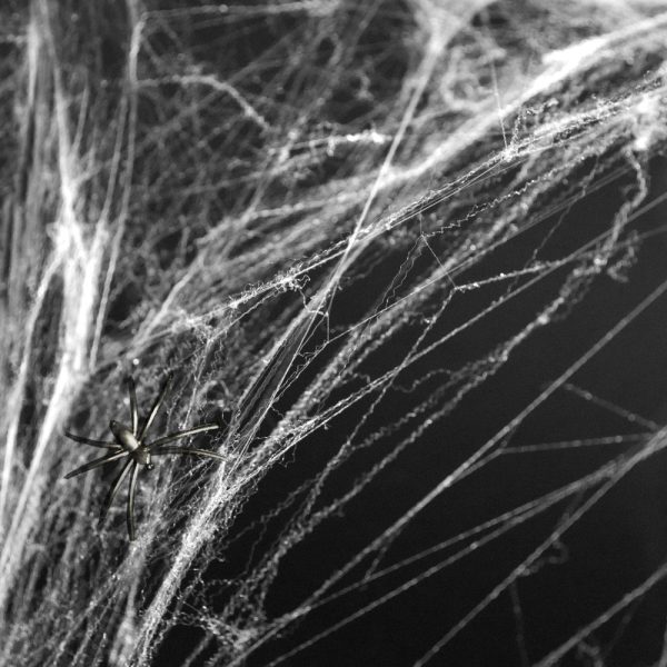 Hvid Spindelvæv med edderkopper (60g)